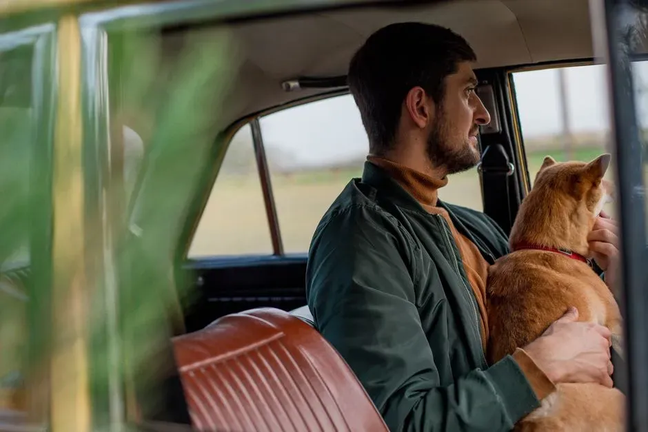 Sagittarius: The Free Spirit Who Turns the Dog Into a Travel Buddy (Image Credits: Pexels)