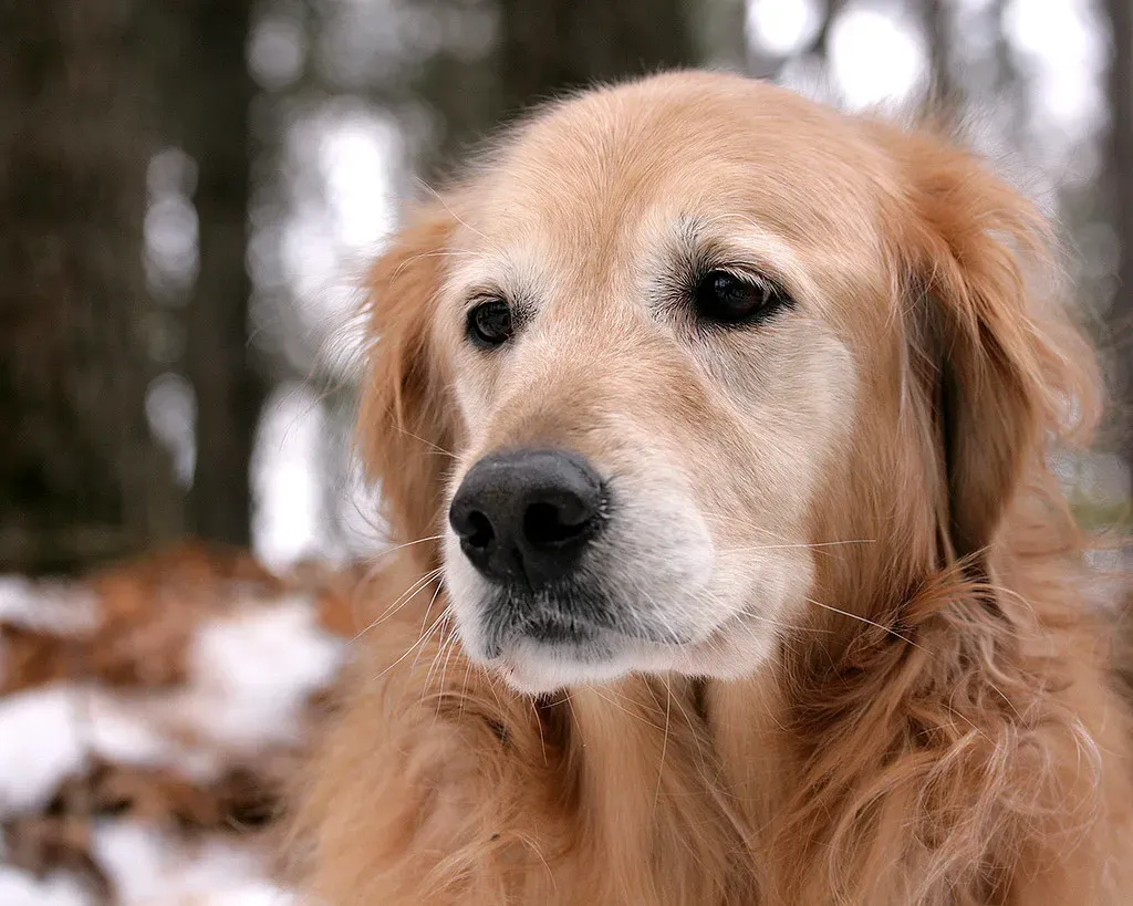 5. Denver, Colorado: A City That Gets It (Citizen 4474, Flickr, CC BY 2.0)