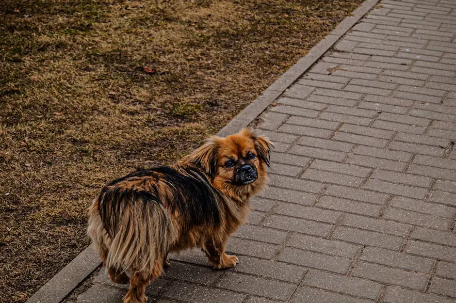 They Turn Their Back to You (Image Credits: Pexels)