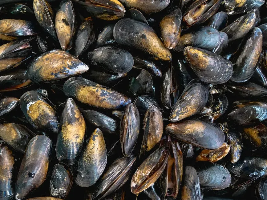 Green-Lipped Mussel: New Zealand's Gift to Stiff Dogs (Image Credits: Pexels)