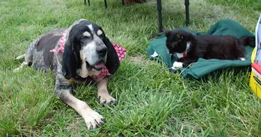 Left, Right, or Neither: How the Numbers Break Down (Image Credits: Flickr)