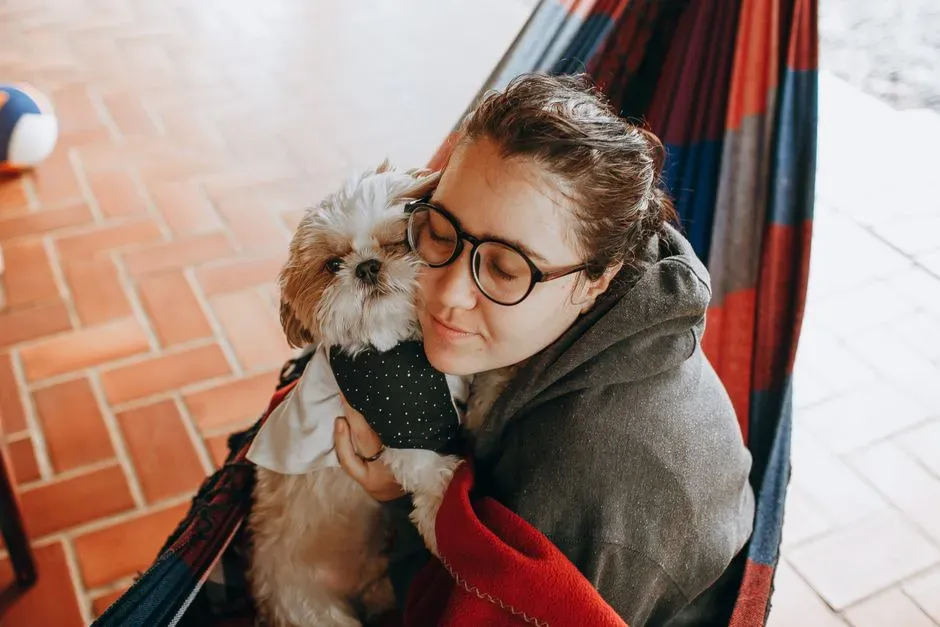 7. Shih Tzu: The Little Comfort Specialist (Image Credits: Pexels)
