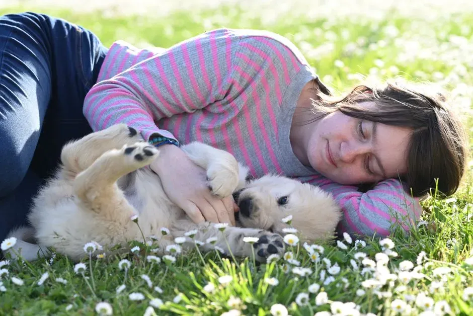 Early Life Experiences Shape Lasting Preferences (Image Credits: Pexels)