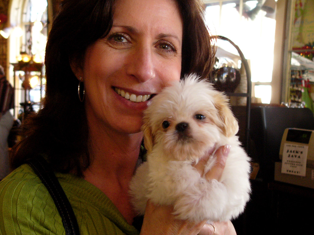 Inconsistent Rules and Commands (Image Credits: Flickr)