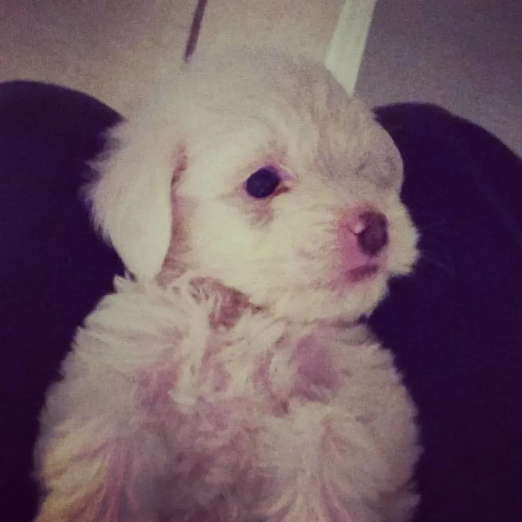 Why Punishment Makes Everything Worse (Image Credits: Flickr)