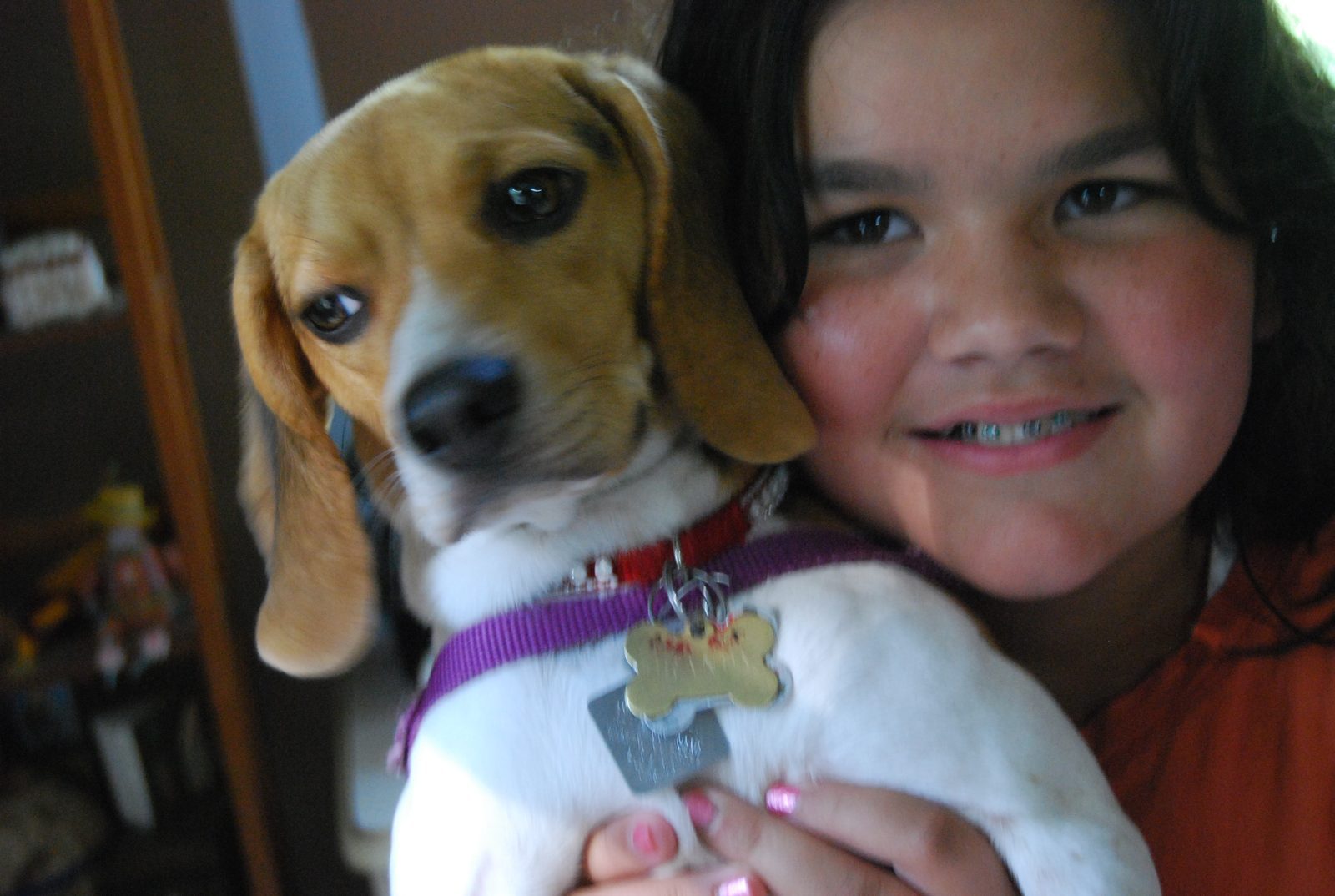 Conclusion (Image Credits: Wikimedia)