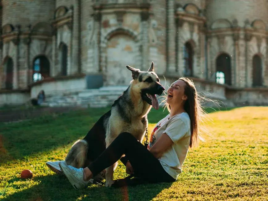 Leo Commands Respect (Image Credits: Pexels)