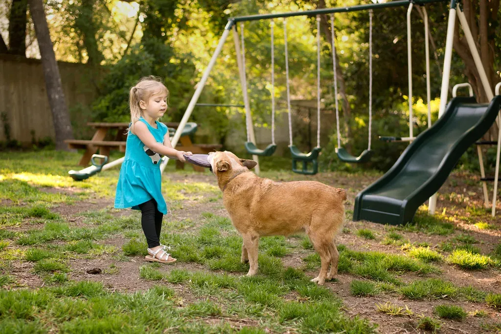 The Hard Numbers on Dog Bites (donnierayjones, Flickr, CC BY 2.0)