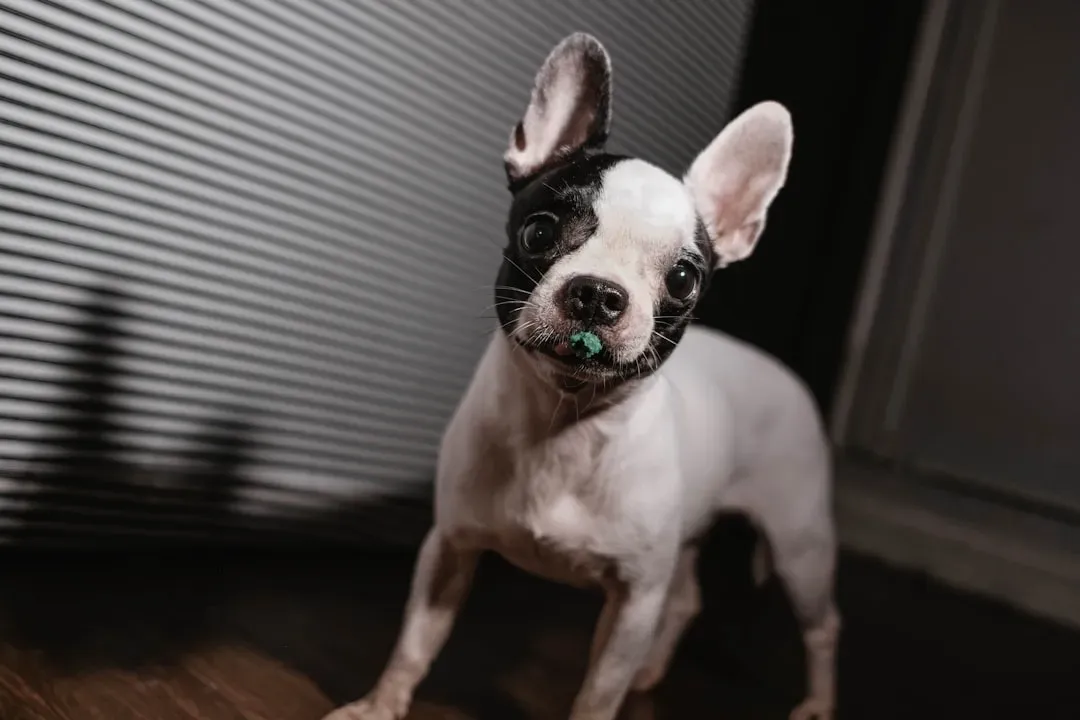 Green Beans – The Weight-Watcher's Best Friend (Image Credits: Unsplash)