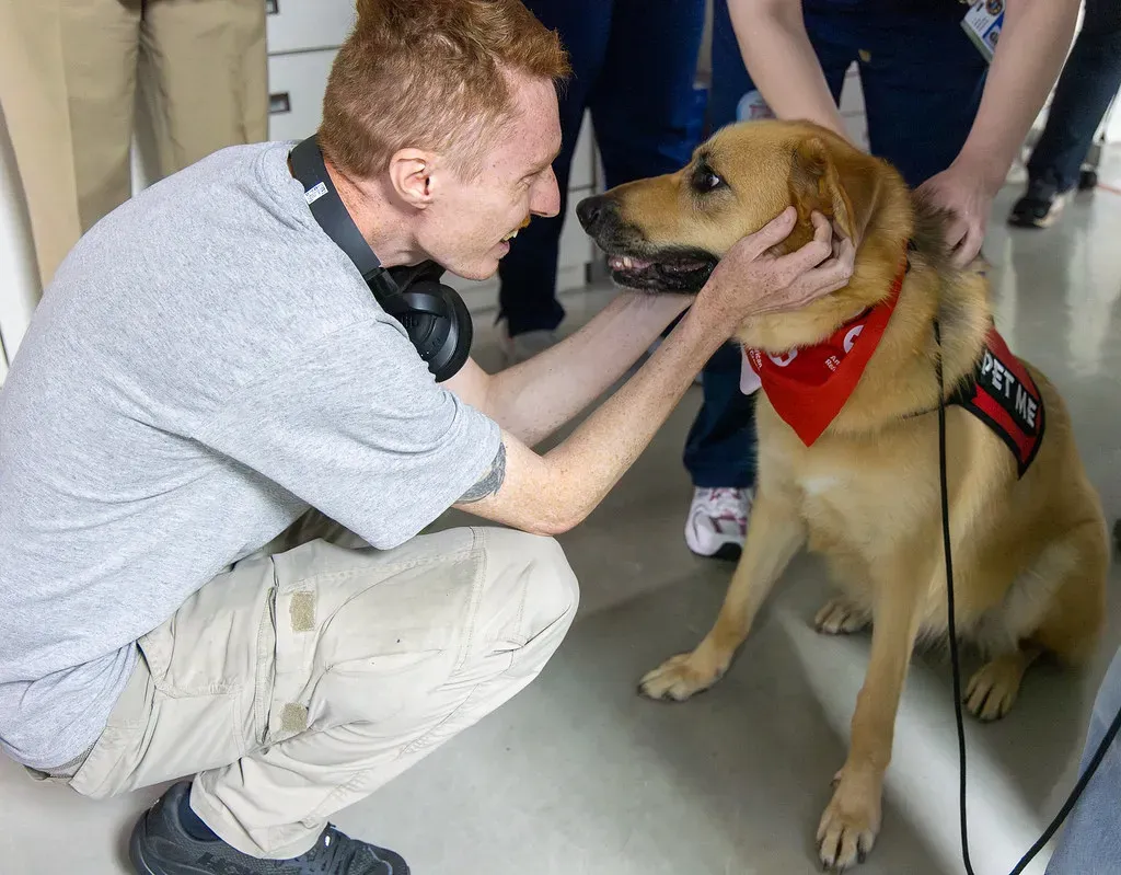 Bad Experiences at the Vet's Office (Image Credits: Flickr)