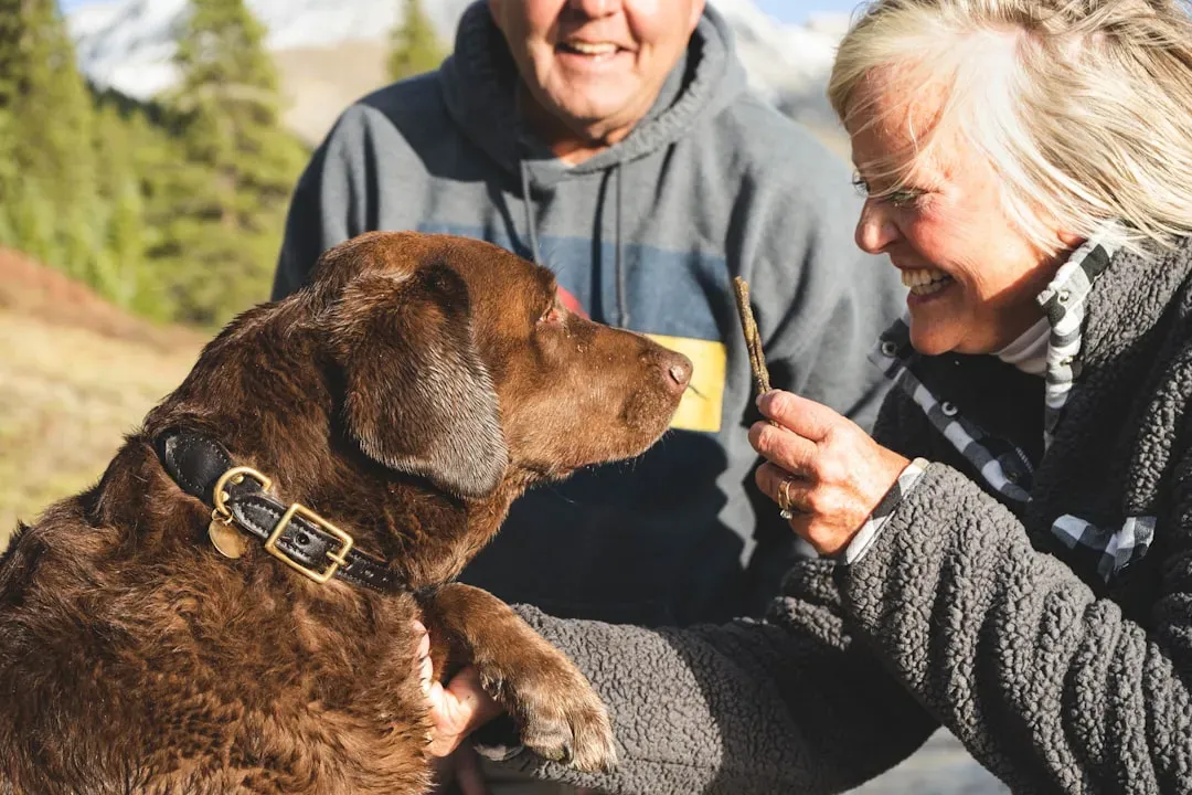 #7 - Dogs Pick Up on the Adults Acting Differently, Too (Image Credits: Unsplash)