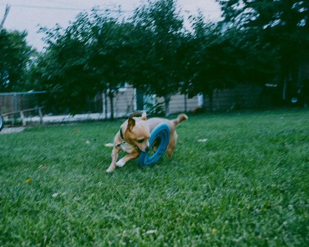 When Spinning and Circling Become a Red Flag (Image Credits: Unsplash)