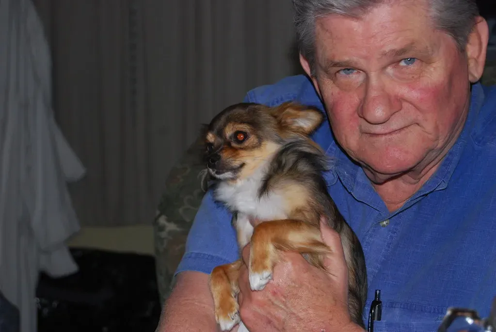 Conclusion (Image Credits: Flickr)