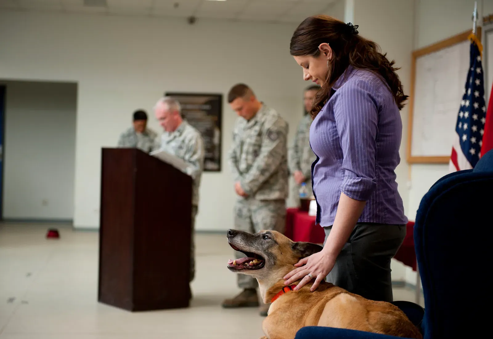 Conclusion: Older Dogs Need Us To Grow Up With Them (By Senior Airman William O'Brien, Public domain)