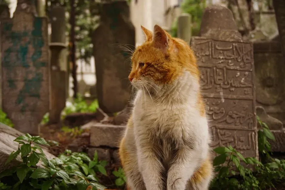 The Science Behind Feline Memory (Image Credits: Pexels)