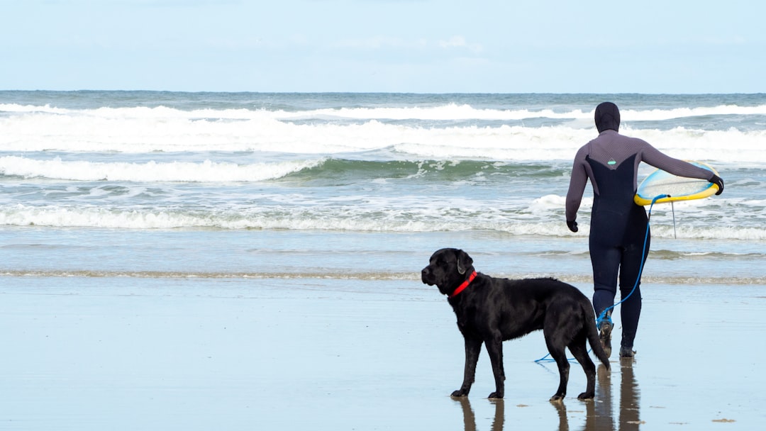 Oregon's Dog-Friendly Beach Culture Welcomes Four-Legged Surfers (Image Credits: Unsplash)