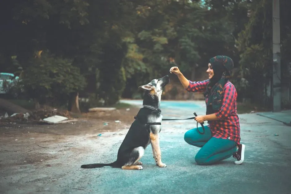 Patience: The Secret Ingredient Most Pets Crave (Image Credits: Pexels)