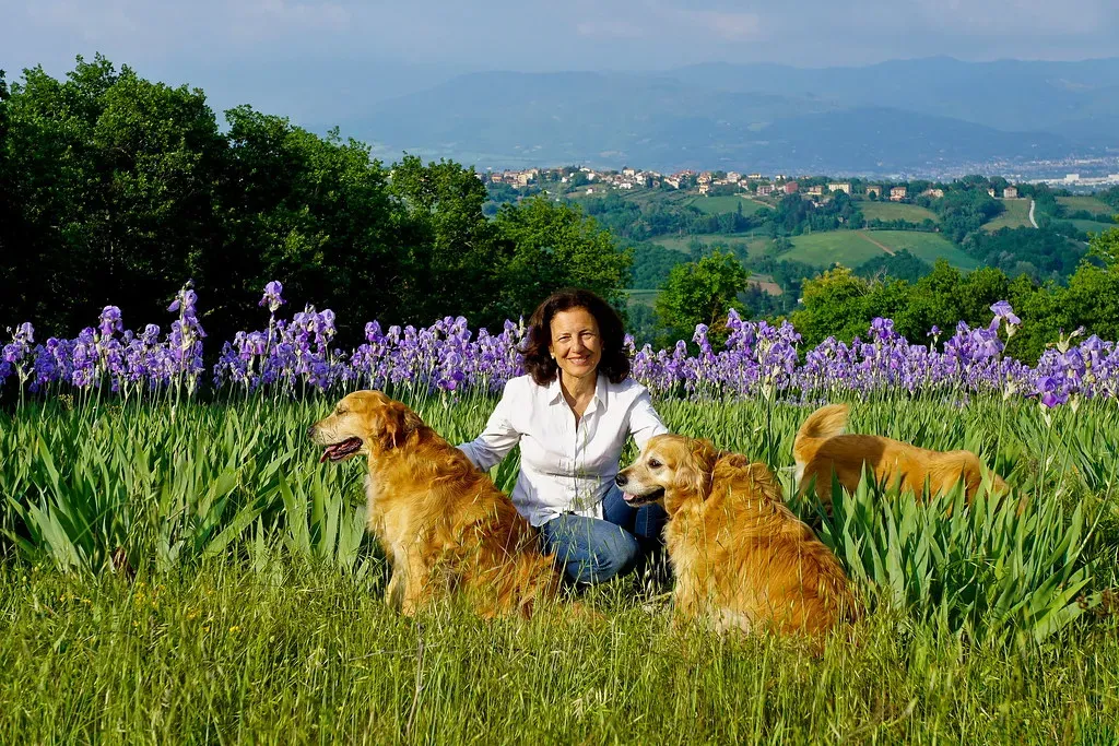 11. Iris: Common, Colorful, and Capable of Real Harm (Franco Vannini, Flickr, CC BY 2.0)