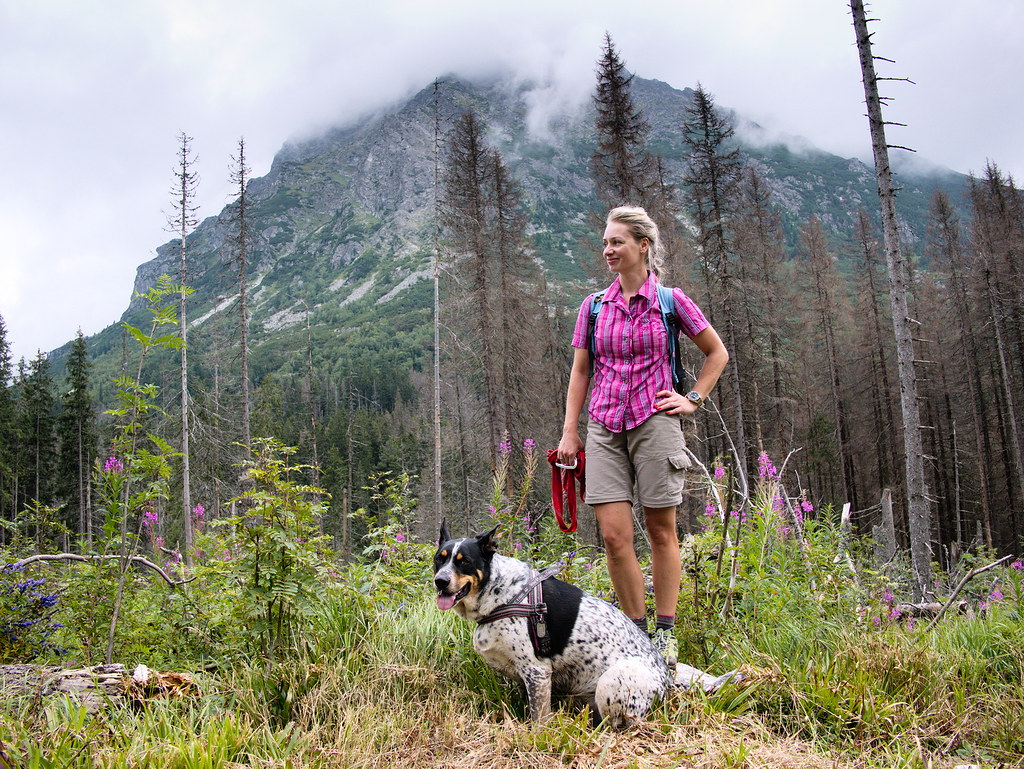 Capricorn: Celebrating the Journey, Not Just the Summit (Image Credits: Flickr)