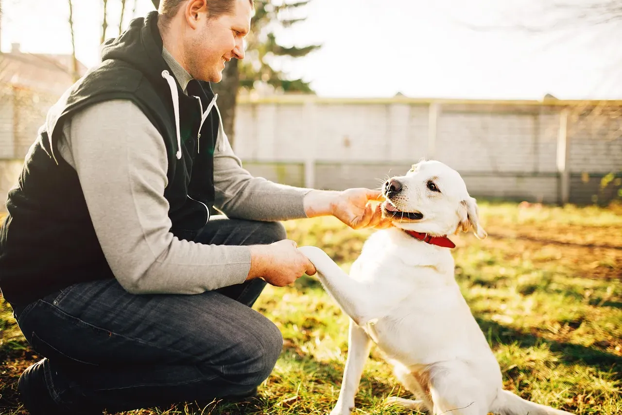 #18 - The Morning and Night Sniff of "Their" Human (Image Credits: Pixabay)