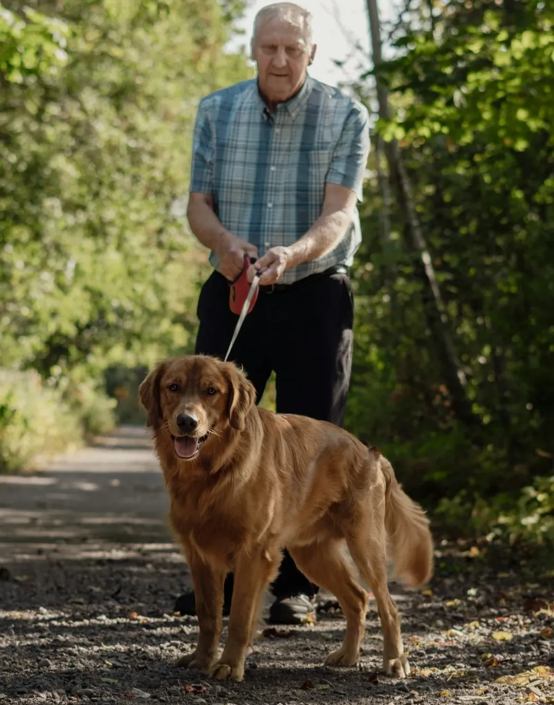 #15 - The "Caregiver Gait" When the Dog Walks In (Image Credits: Unsplash)