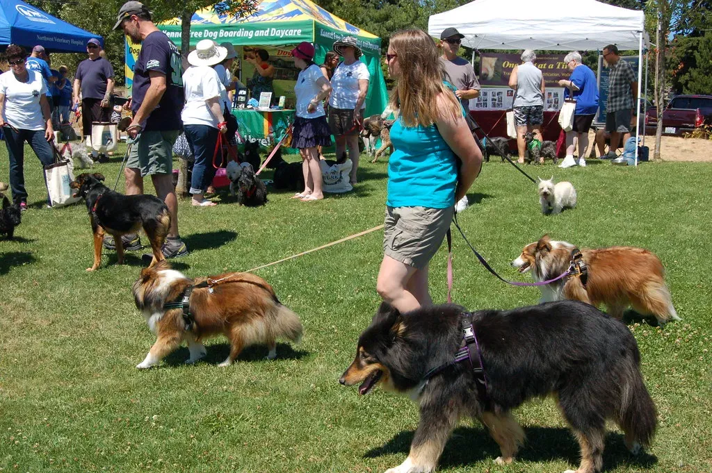 Breaking the Stress Cycle (Image Credits: Flickr)