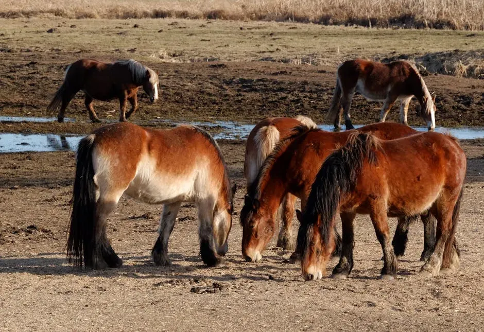 Why the Government Says This Has to Happen (Image Credits: Pexels)