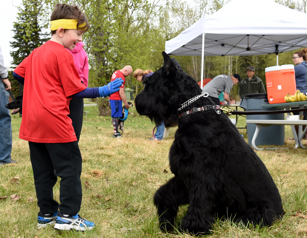 Gemini: The Social Butterfly Who Feels Emotionally Scattered (Image Credits: Flickr)