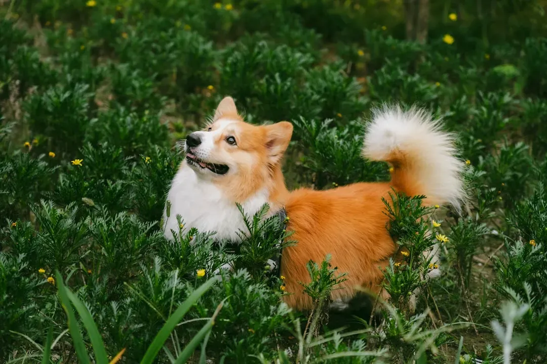 Curious Exploration Without Nervousness (Image Credits: Unsplash)