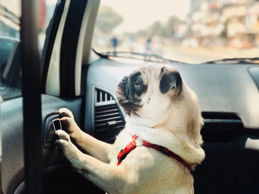 #5 - The First Roar of the Engine (Image Credits: Unsplash)