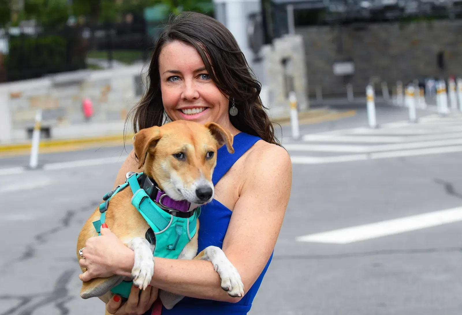 #11 - The Reunion Reaction: Confirmation of Everything Kennel Staff Suspected (MTA Honors Bridge and Tunnels Officers for Saving Peripatetic Dog from Tunnel Traffic, Helping Reunite With Owner, CC BY 2.0)