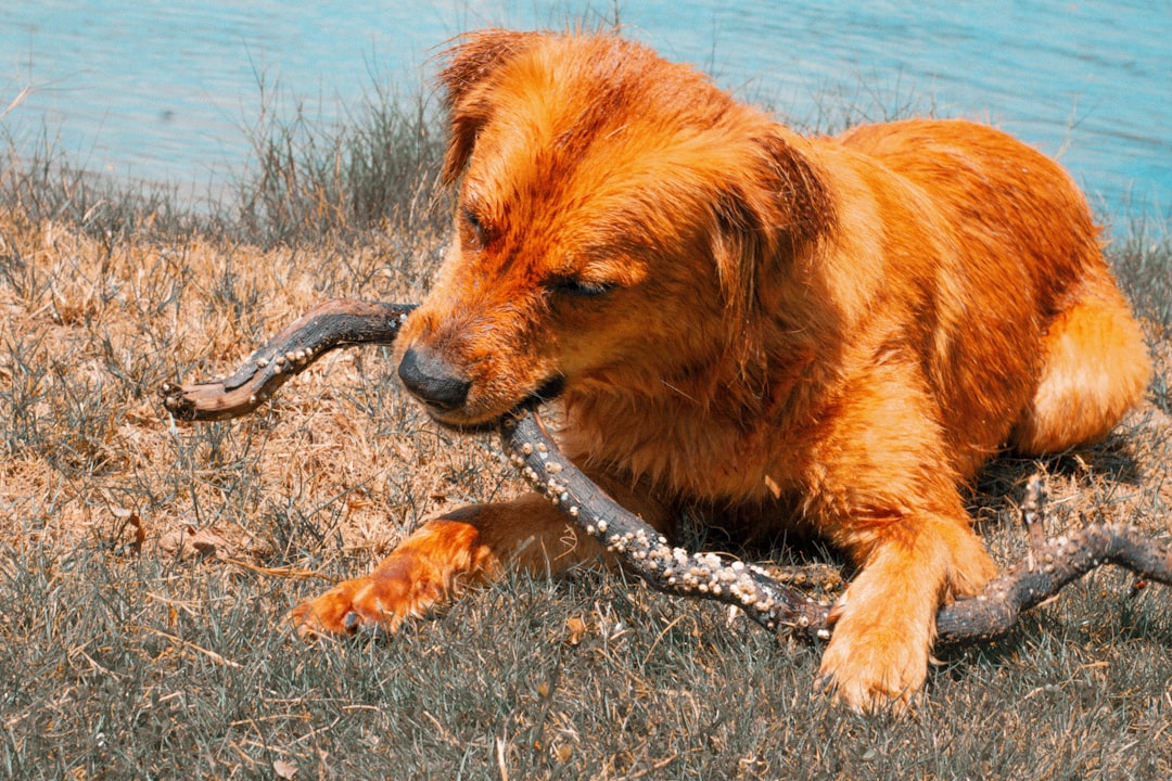 Venomous Snakes: Hidden Death in Plain Sight (Image Credits: Unsplash)