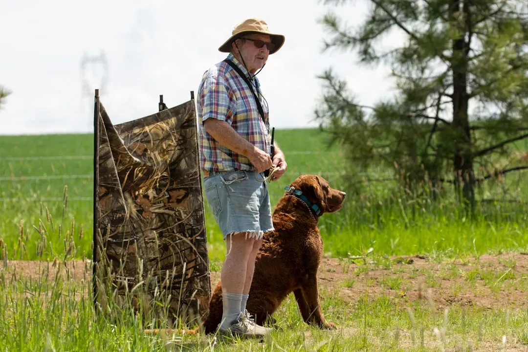 #4: You Can't Teach an Old Dog New Tricks (Image Credits: Unsplash)