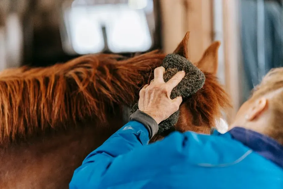 11. Stable Supplies, Barn Clothes, And Safety Gear For You (Image Credits: Pexels)