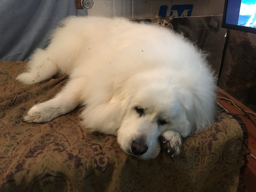 Conclusion (Image Credits: Flickr)