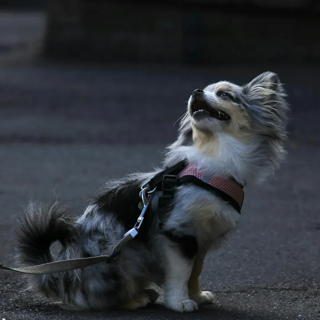 They're Making Themselves Small Before They React (Image Credits: Unsplash)