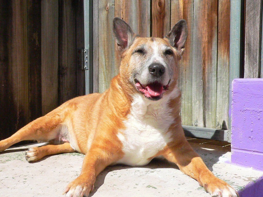 Conclusion: Looking Beyond the Stereotype (Image Credits: Flickr)