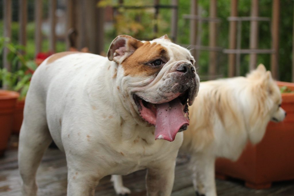 Conclusion (Image Credits: Flickr)