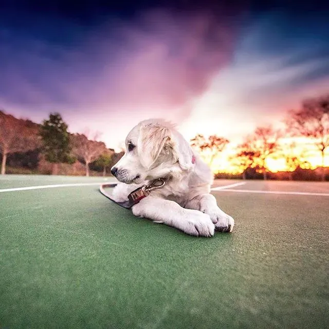 They Have Good Days Mixed With the Bad Ones (Image Credits: Flickr)