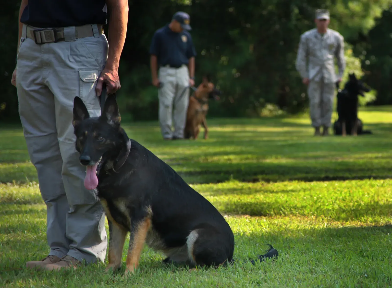 Conclusion (Image Credits: Wikimedia)