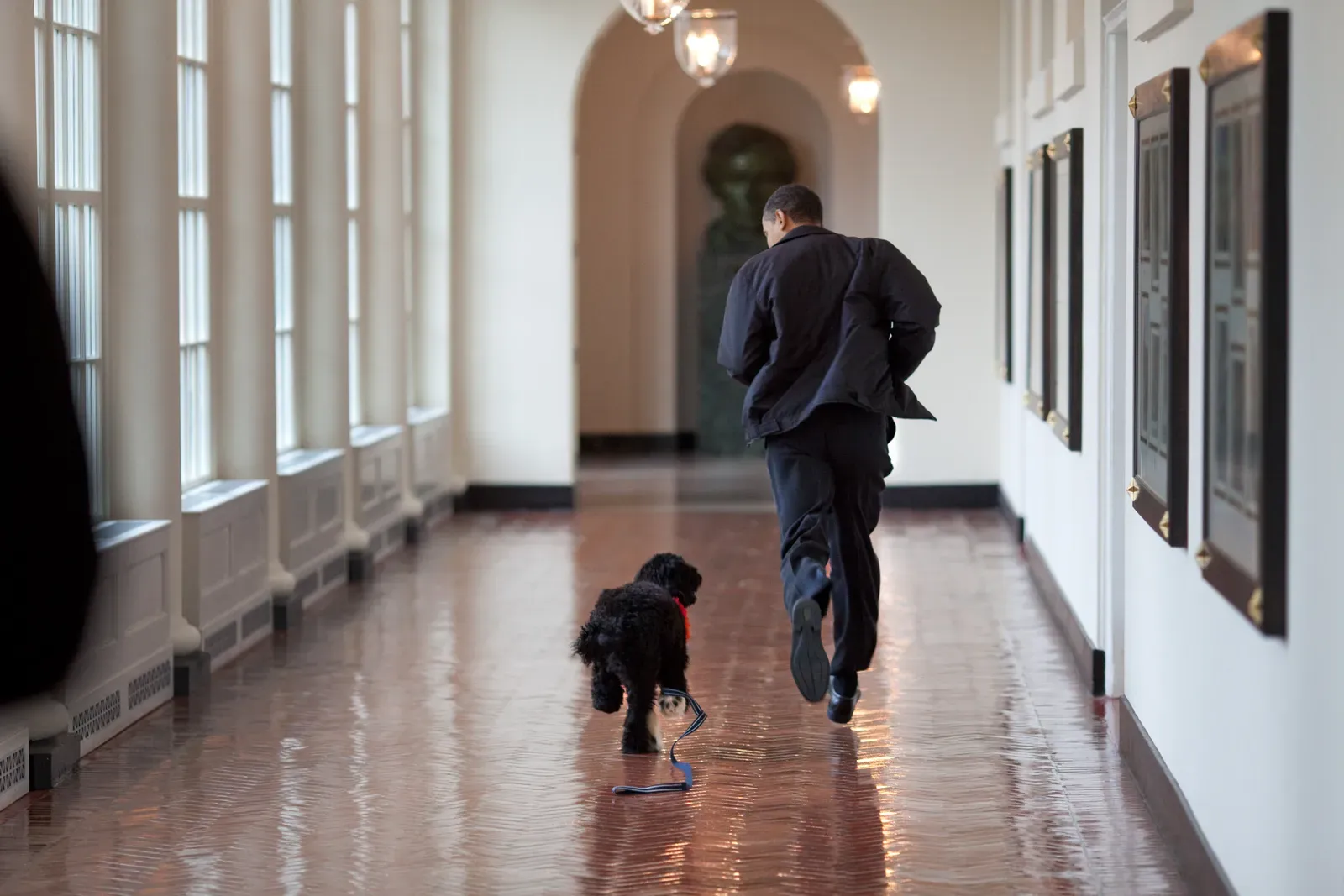 Leo: The Proud Pet Parent Who Wants a Majestic Playground (P031509PS-0140, Public domain)