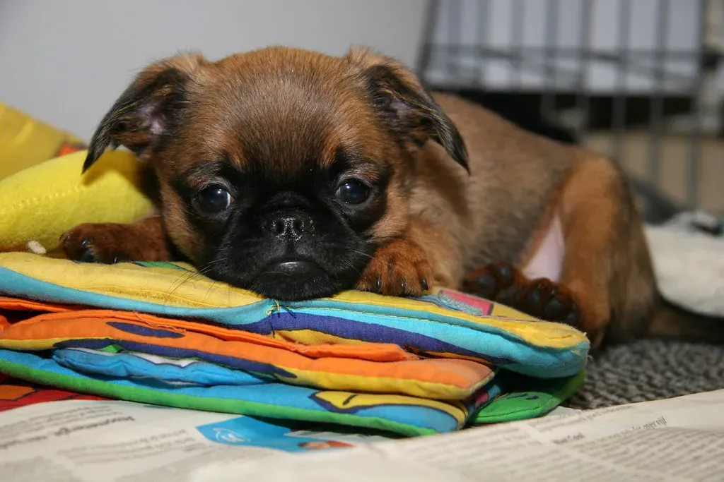 A Memory of Something You Did Once, Years Ago (Image Credits: Flickr)