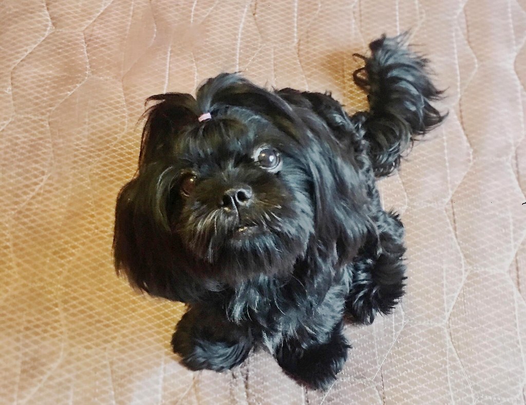 When to Seek Professional Help (Image Credits: Flickr)