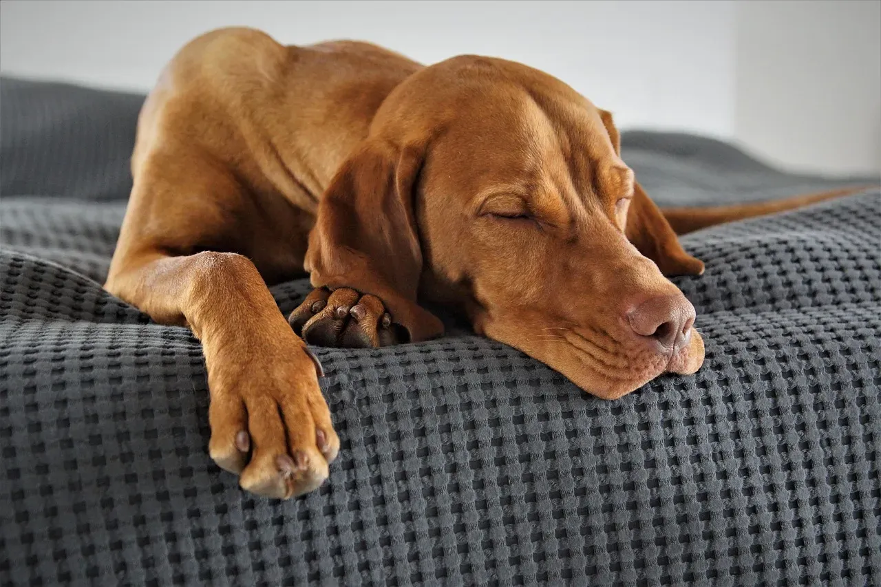 #8 - How You Handle the Quiet Hours When Nothing Is Happening (Image Credits: Pixabay)