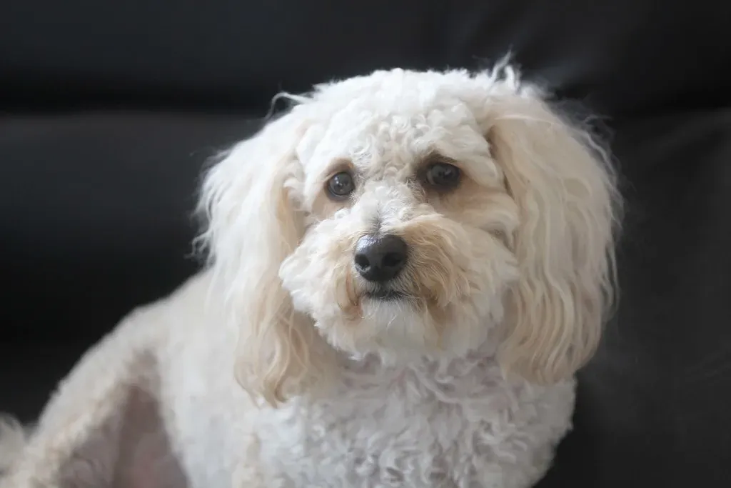 Aquarius: The Detachment That Leaves Them Lonely (Image Credits: Flickr)