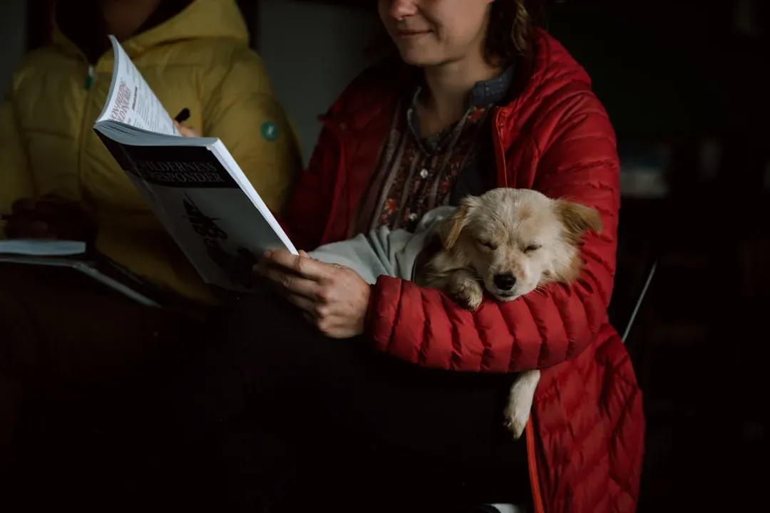 Reading Your Emotional State Like a Book (Image Credits: Unsplash)