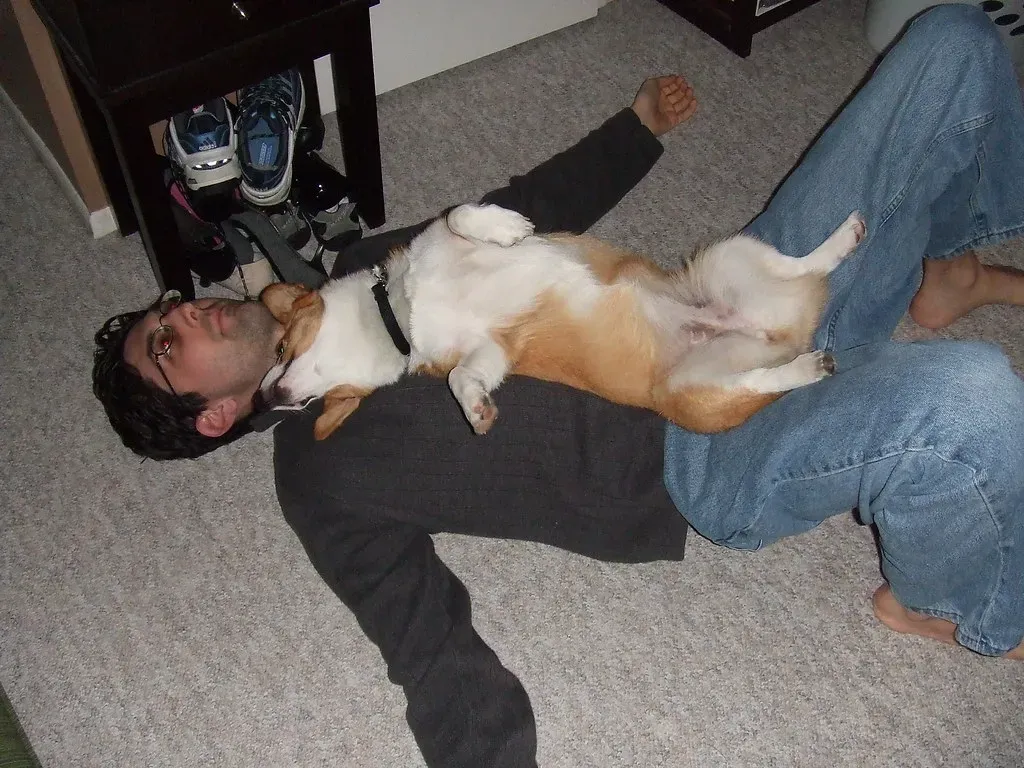 Aquarius: Quirky Minds Appreciating a Quirky Dog (TineyHo, Flickr, CC BY-SA 2.0)