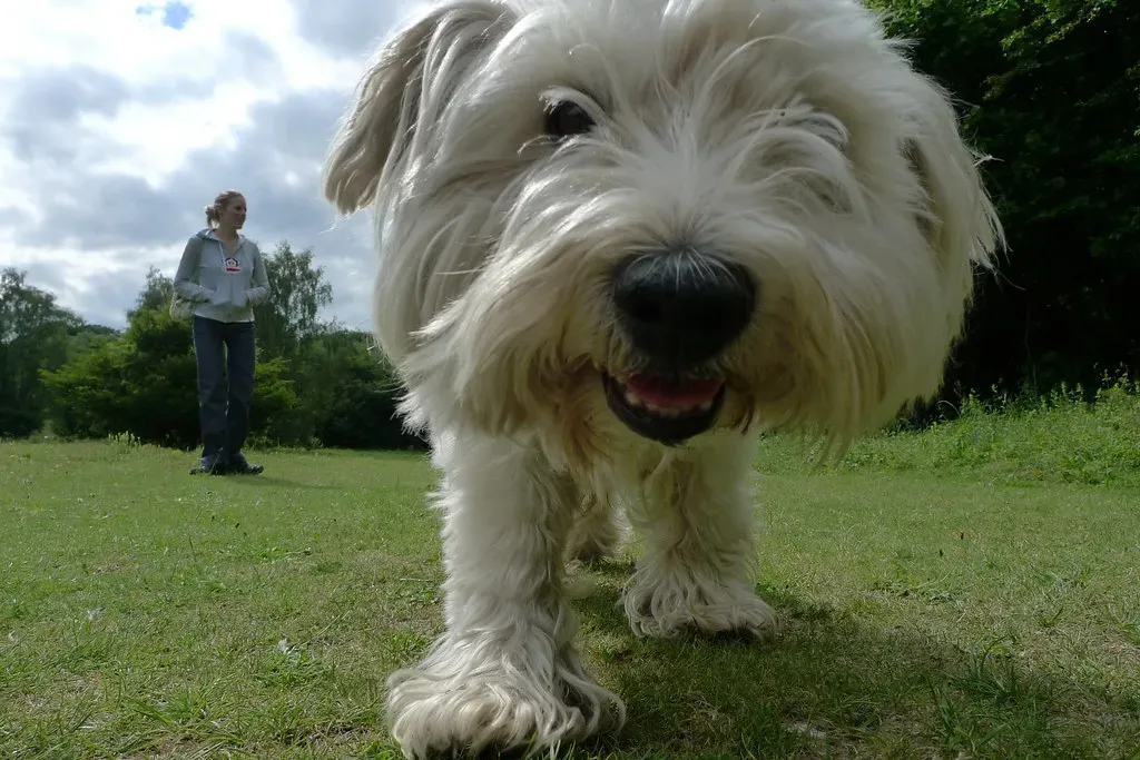 Switch Up Your Walking Routine (Image Credits: Flickr)