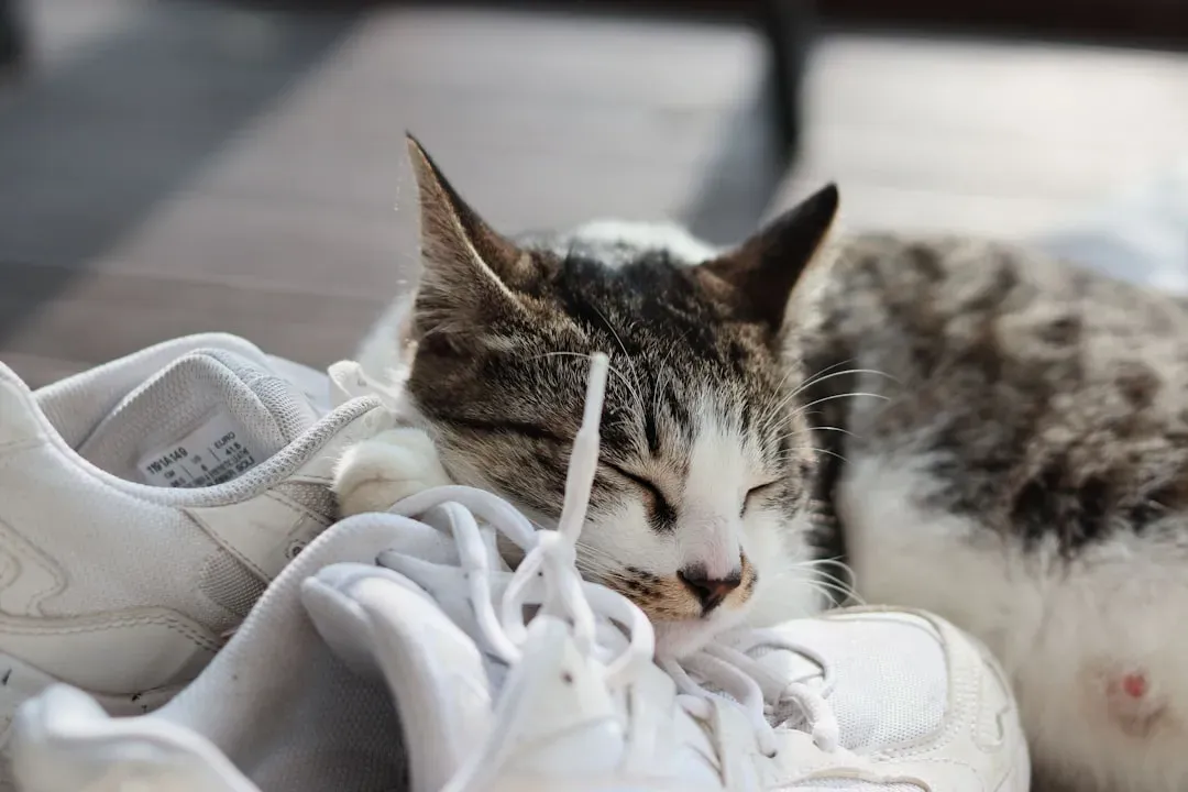 1. Where You’ve Been (In Shockingly Specific Detail) (Image Credits: Unsplash)