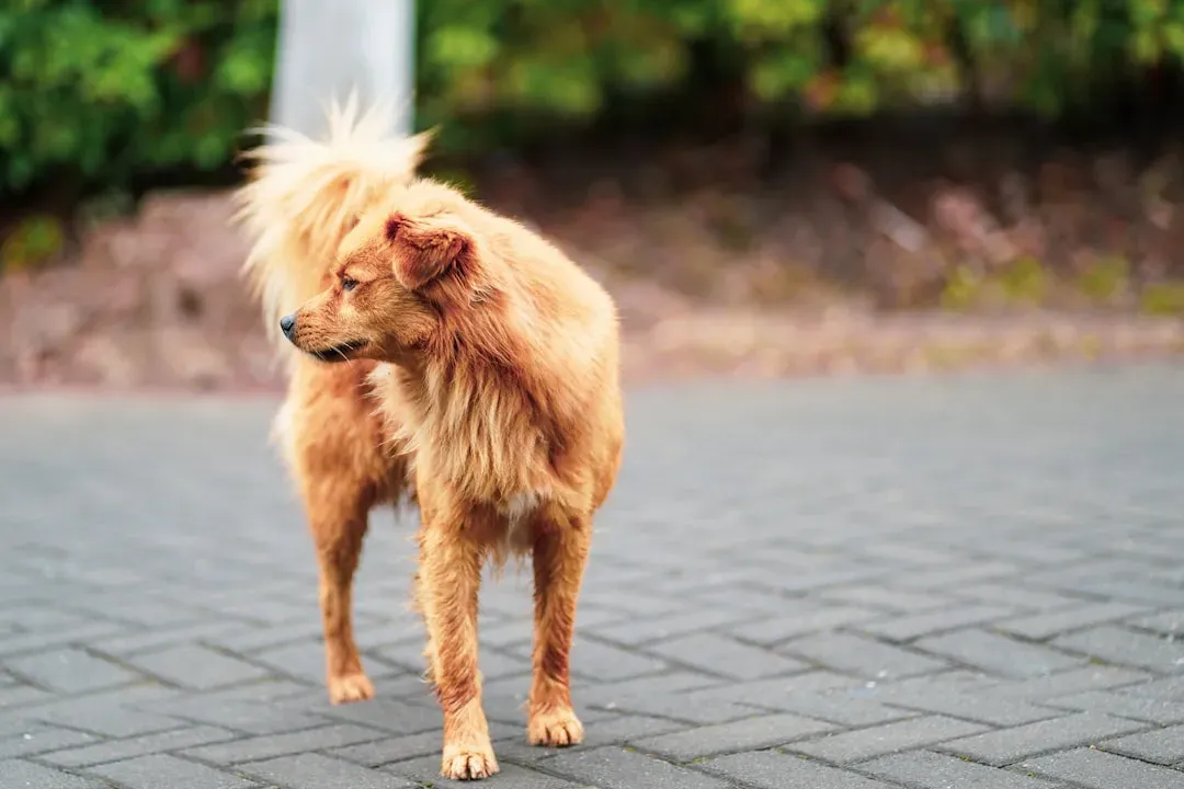 10. Stress Yawning or Lip Licking (Image Credits: Unsplash)